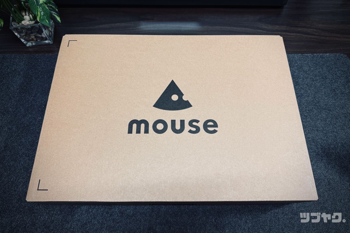 mouse